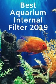 Best Aquarium Internal Filter image