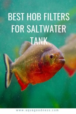 best hob filter for saltwater tank image