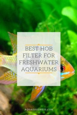 best hand on back hob filter for freshwater aquarium pinterest image