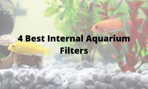 Best internal outlet aquarium filter