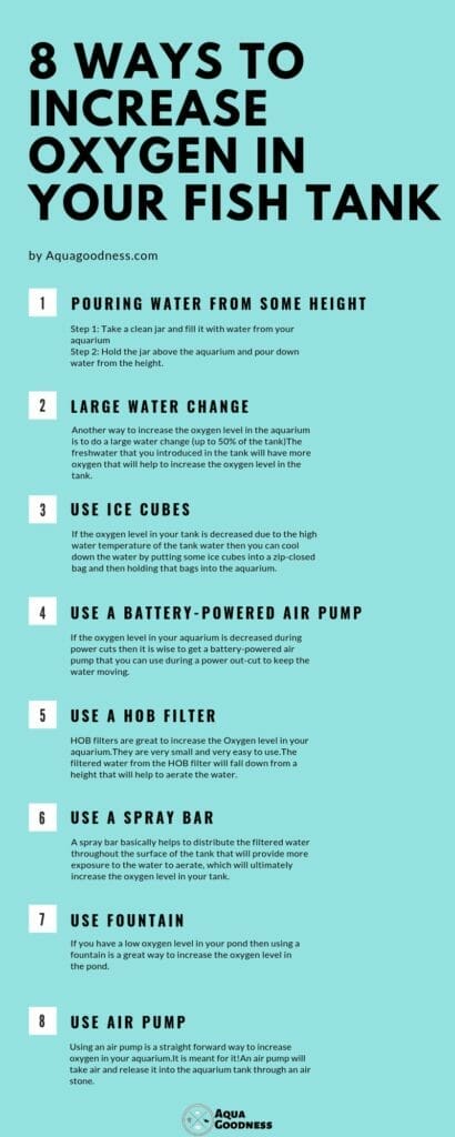 ways to increase oxygen in your fish tank infographic