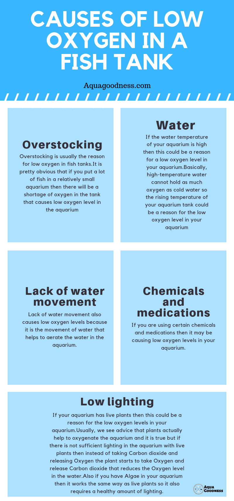 How to Increase Oxygen in Fish Tank? (8 Simple Ways)