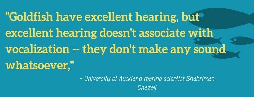 Quote by University of Auckland marine scientist Shahriman Ghazali
