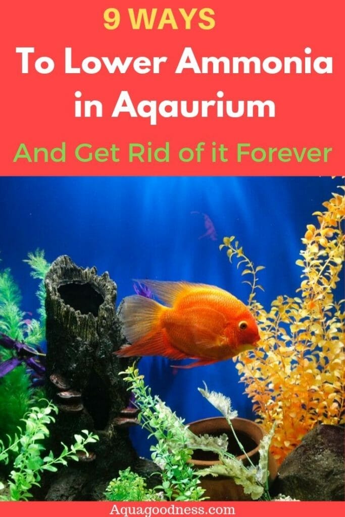manieren om ammoniak te verlagen in aquarium
