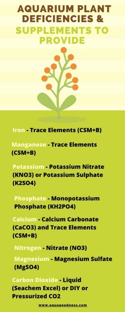 aquarium plant deficiencies and supplements to provide infographic