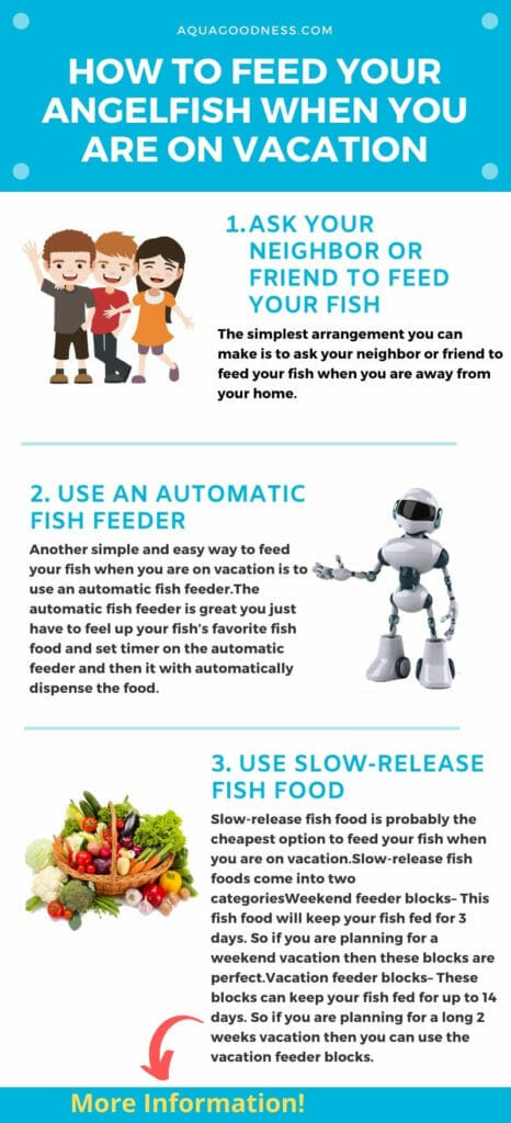 how to feed your fish when you are on vacation infographic