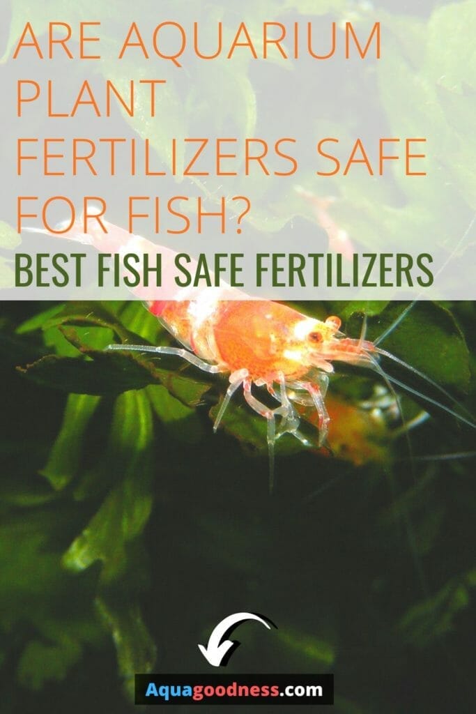 Aquarium plant fertilizer 2025 safe for fish