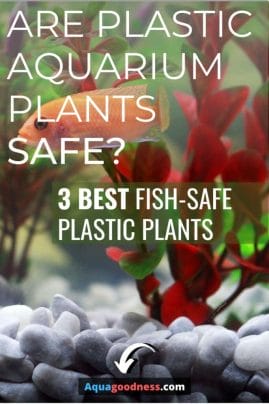 Are Plastic Aquarium Plants Safe? (3 Best fish-safe plastic plants) image