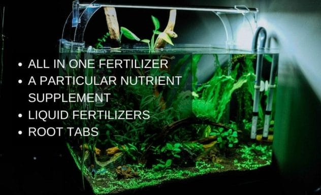 Types of fertilizers