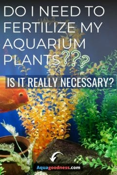 Do I Need to Fertilize My Aquarium Plants? (Is it really necessary?) image