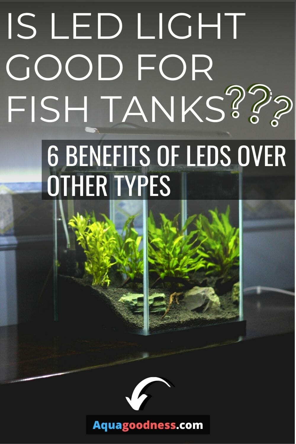 Is LED light good for fish tank? (6 Benefits of LEDs over other types)