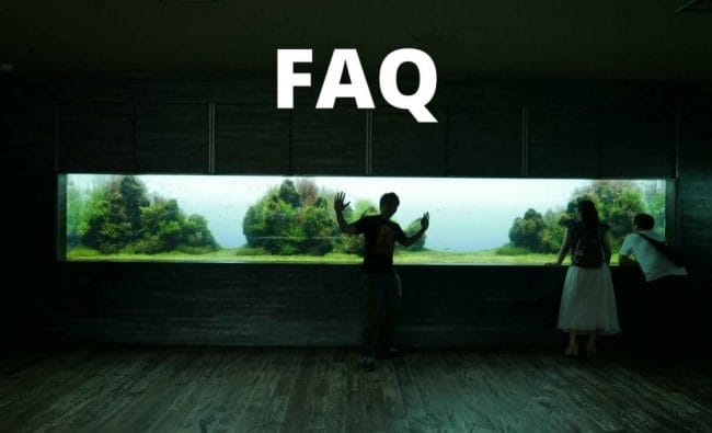 faq image