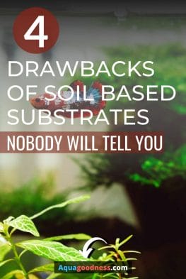 Drawbacks of soil-based substrate image