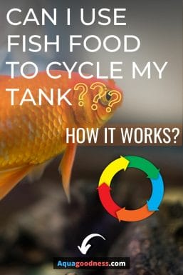 Can I Use Fish Food to Cycle My Tank? (and How It Works) IMAGE