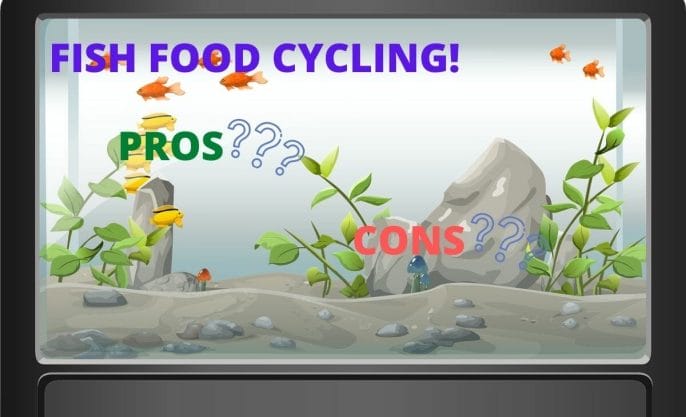 fish food cycling pros and cons image