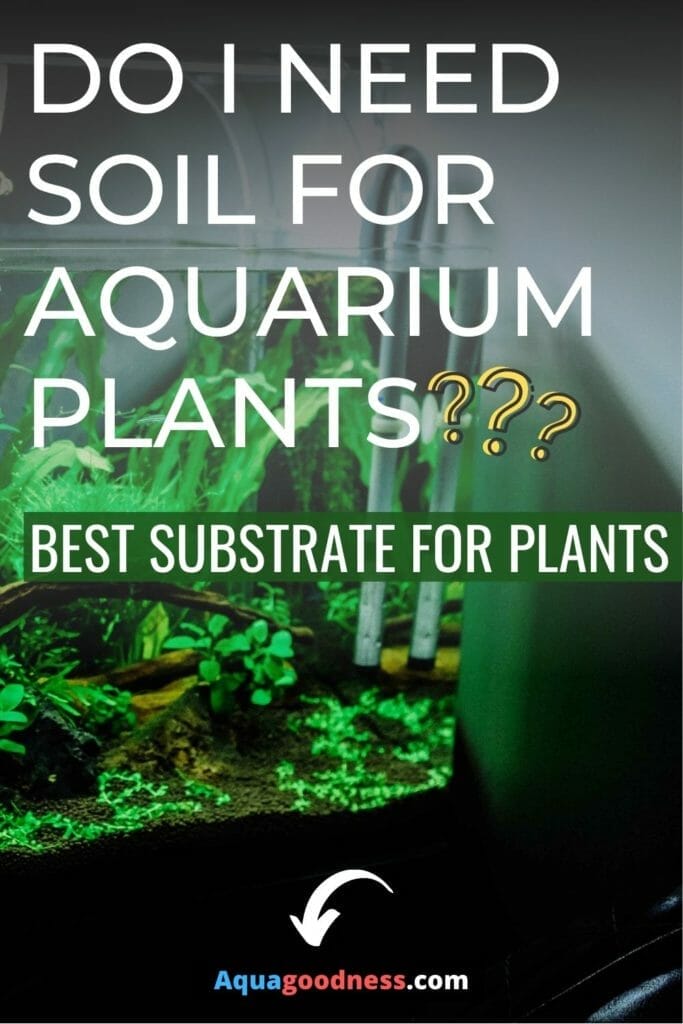 Do I Need Soil for Aquarium Plants? (Best Substrate for Plants?) image