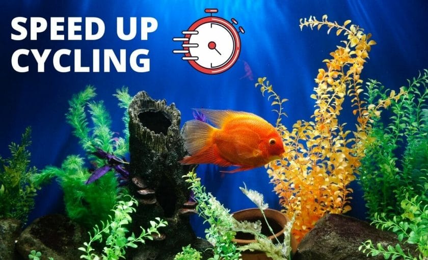 fish tank image with text speed up cycling with a stopwatch diagram