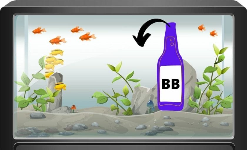 Fish tank image with a beneficial bacteria bottle