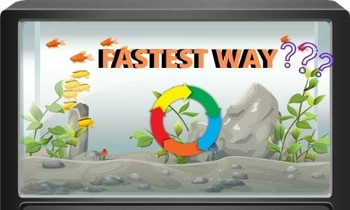 What Is The Fastest Way To Cycle A Freshwater Fish Tank? (4 Easy ways)