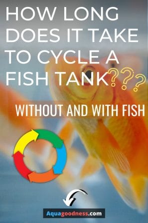 How Long Does It Take To Cycle A Fish Tank? (Without And With Fish) image