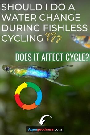 Should I Do a Water Change During Fishless Cycling? (Does It Affect Cycle) image
