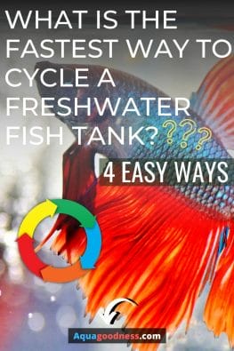 What Is The Fastest Way To Cycle A Freshwater Fish Tank? image