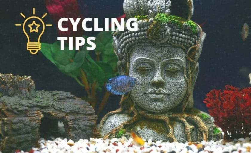 planted fish tank with "cycling tips" text overlay