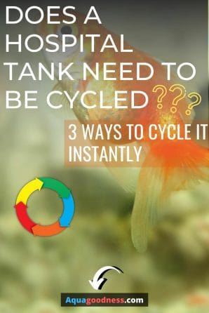 Does a Hospital Tank Need to Be Cycled? (3 Ways to Cycle It Instantly) image