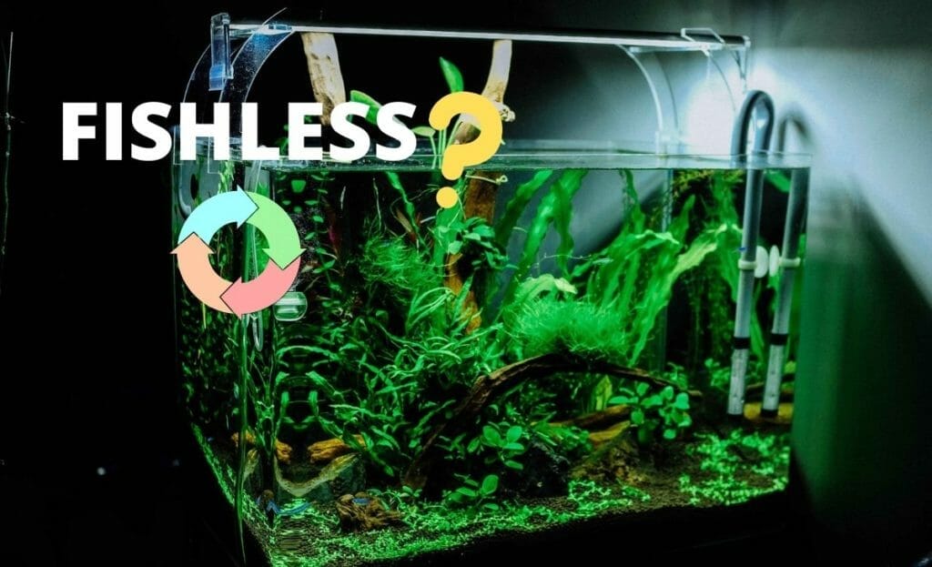 fish tank image with text "fishless" and question mark and cycle image