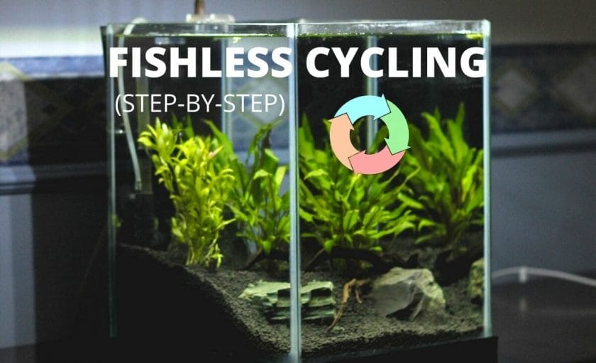 Fish tank image with text fishless cycling step by step and cycle diagram