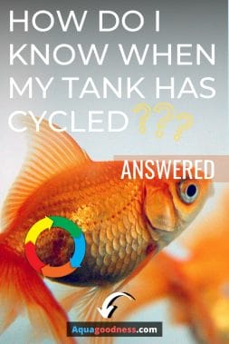 How Do I Know When My Tank Has Cycled? (Answered) image