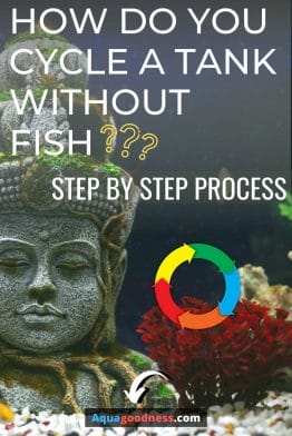 How Do You Cycle a Tank Without Fish? (Step by Step Process) image