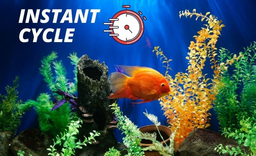 planted fish tank with "instant cycle" text overly
