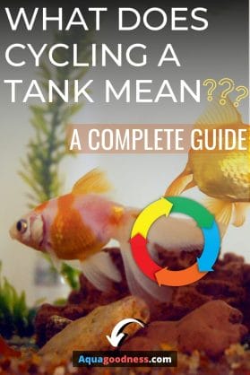 What Does Cycling a Tank Mean? (a Complete Guide) image