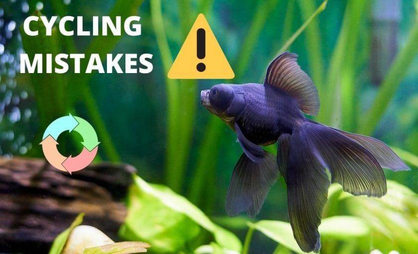 fish tank with a fish and text "cycling mistakes"