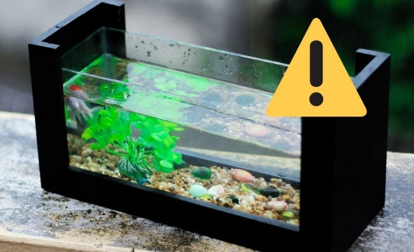fish tank with warning sign