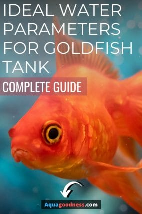 goldfish image with text "Ideal Water Parameters for Goldfish Tank (Complete Guide)"