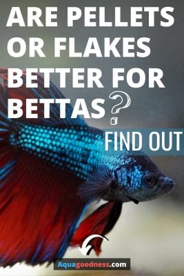 Are Pellets or Flakes Better for Bettas? (Find Out) pinterest pin image