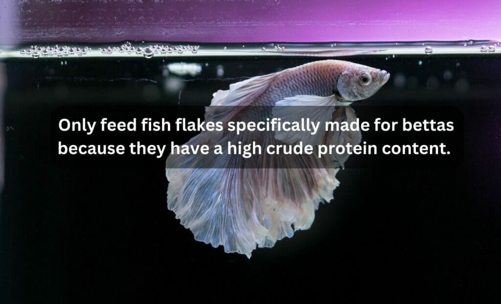 are flakes good for betta fish