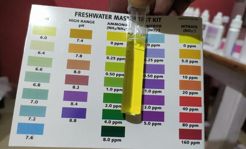 ammonia test