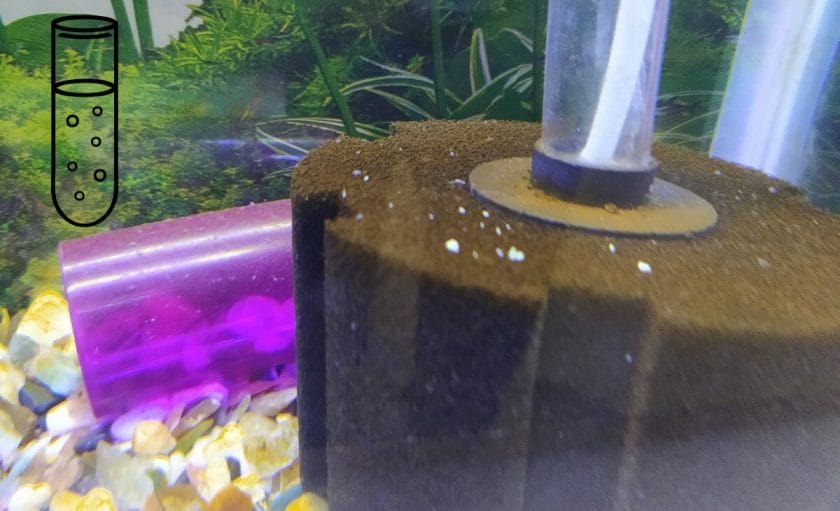 Excess Nitrate