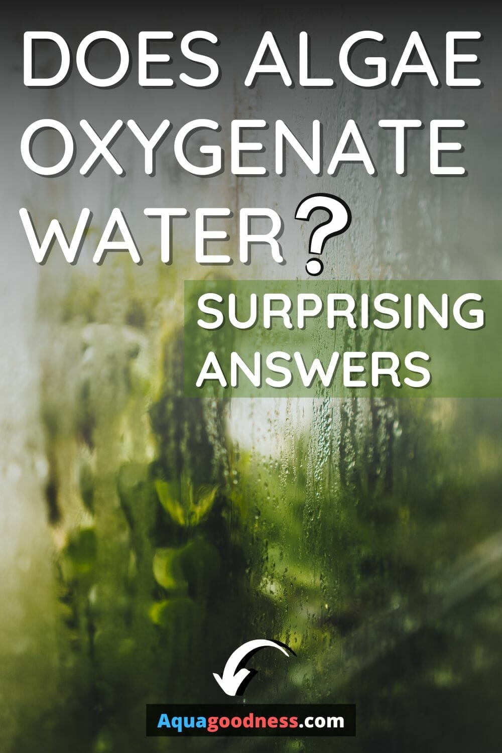 Does Algae Oxygenate Water? (Surprising Answers)